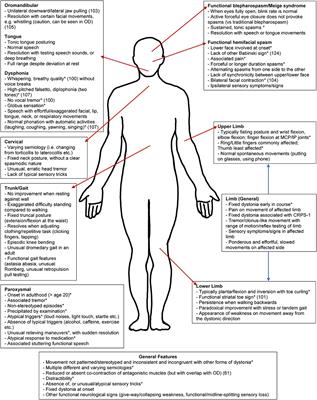 Frontiers | Functional Dystonia: Differentiation From Primary